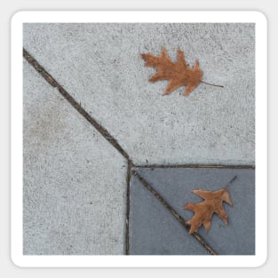 Fall Sidewalk Sticker